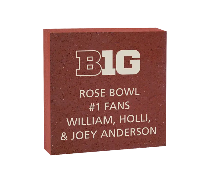 [ROSE 8X8 LOGO BRICK] 8x8 Big Ten Logo Brick (Paver)